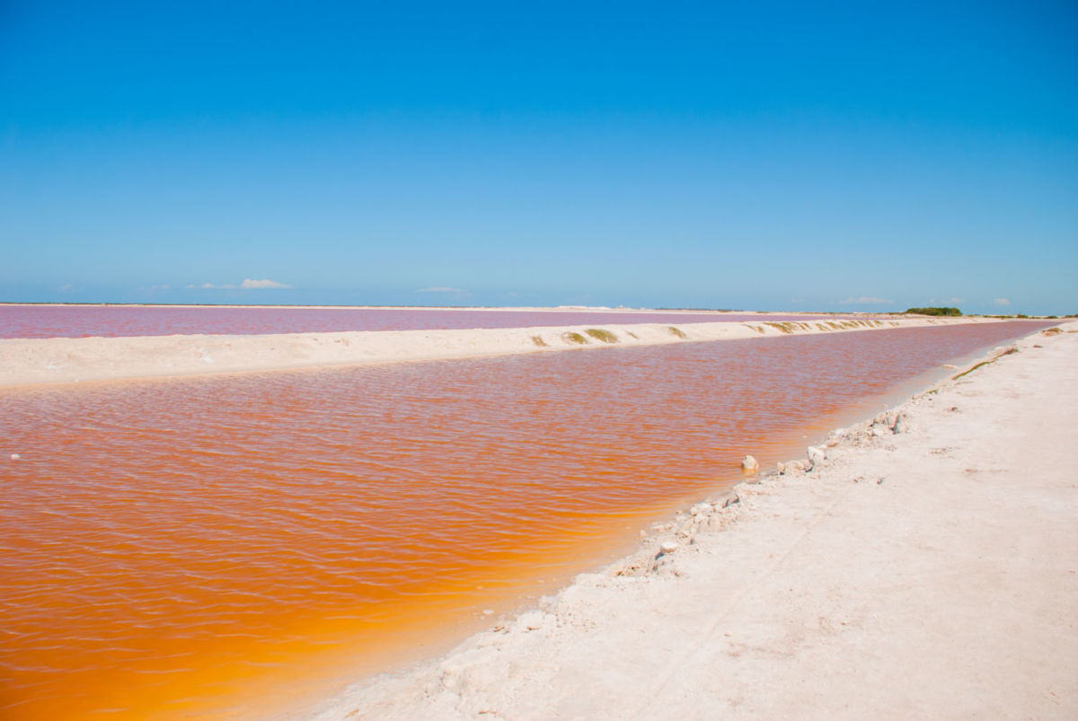 Salineras de Celestún, Yucatán