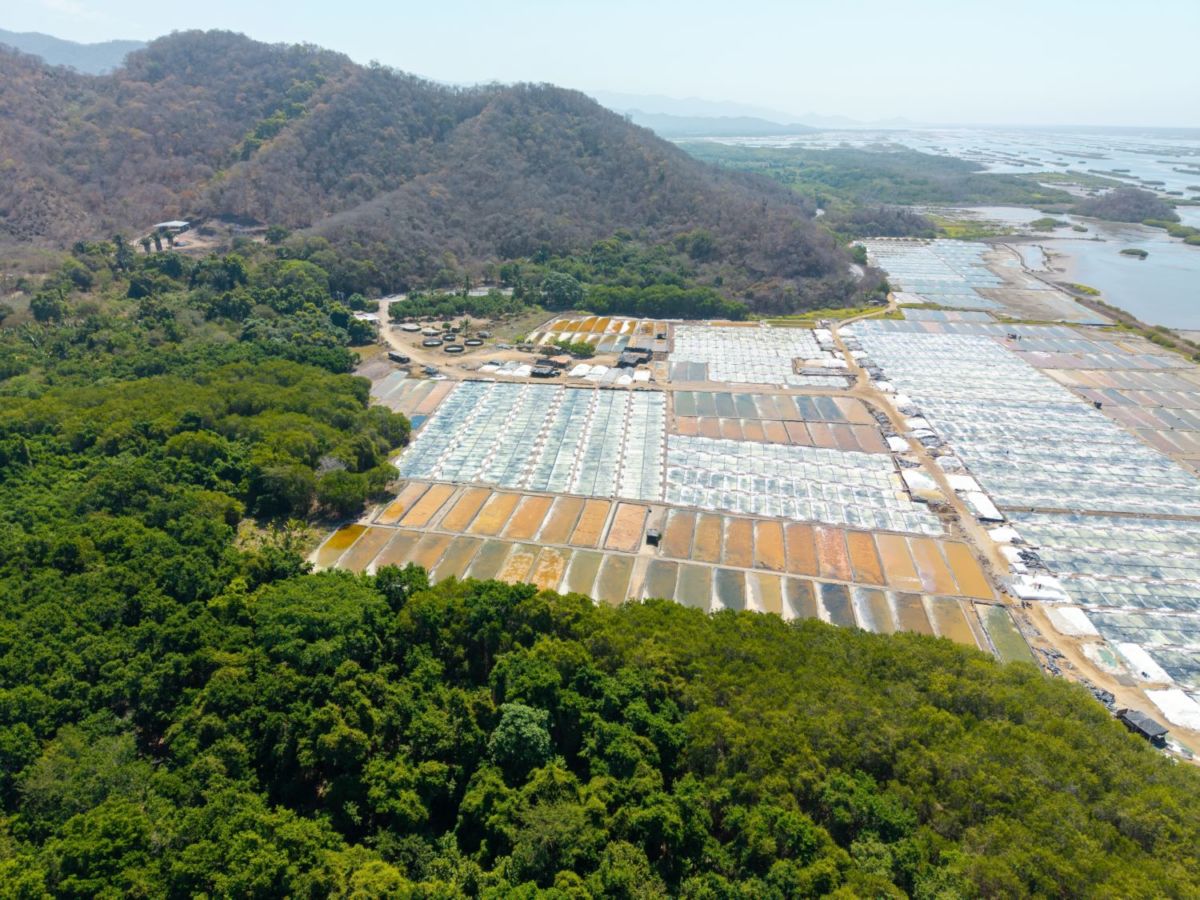 Laguna de Cuyutlán, Colima