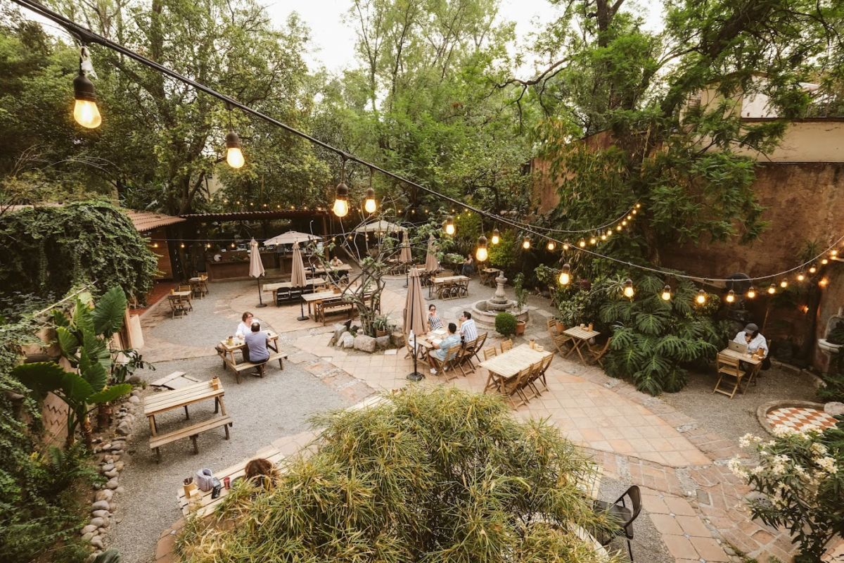 terrazas en coyoacán