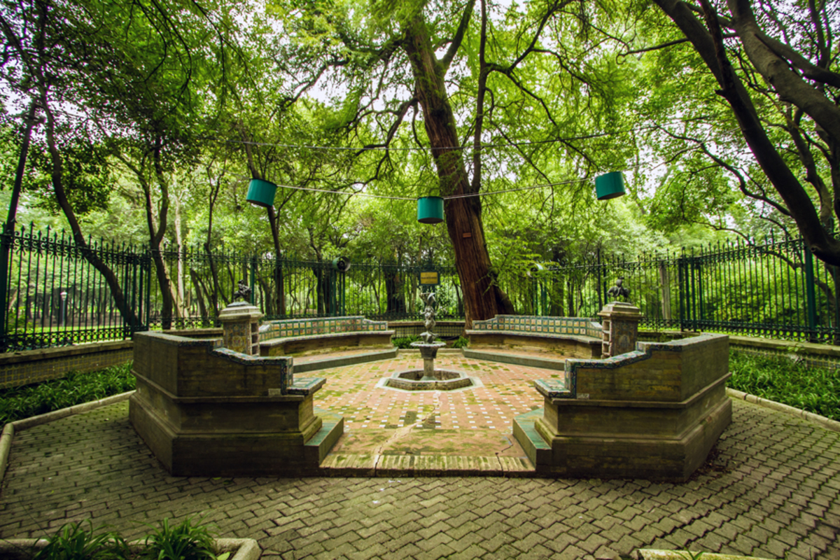 Tal vez ya has ido al Bosque de Chapultepec mil veces, pero ¿conoces sus lugares menos conocidos?