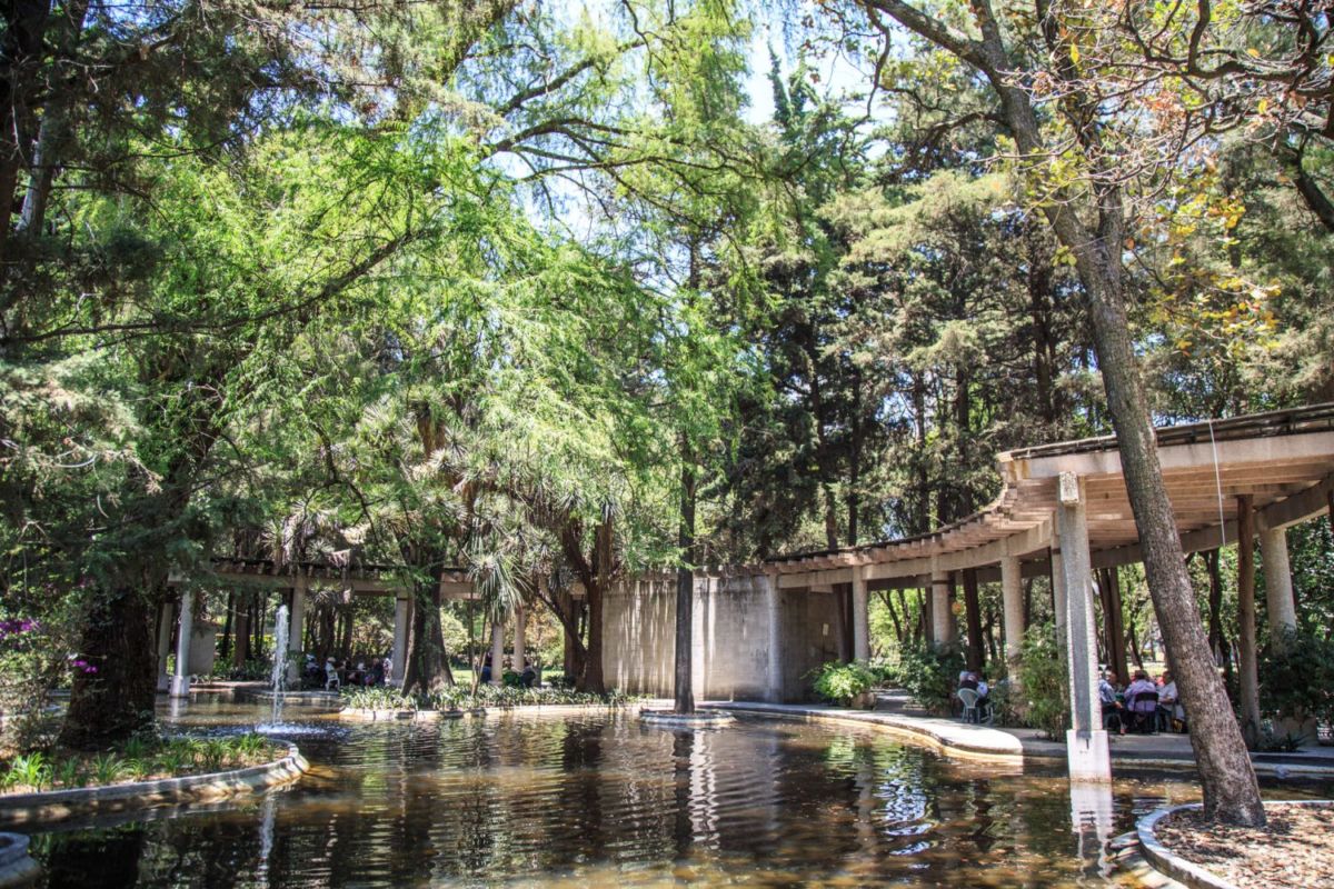 Jardín de Adultos Mayores