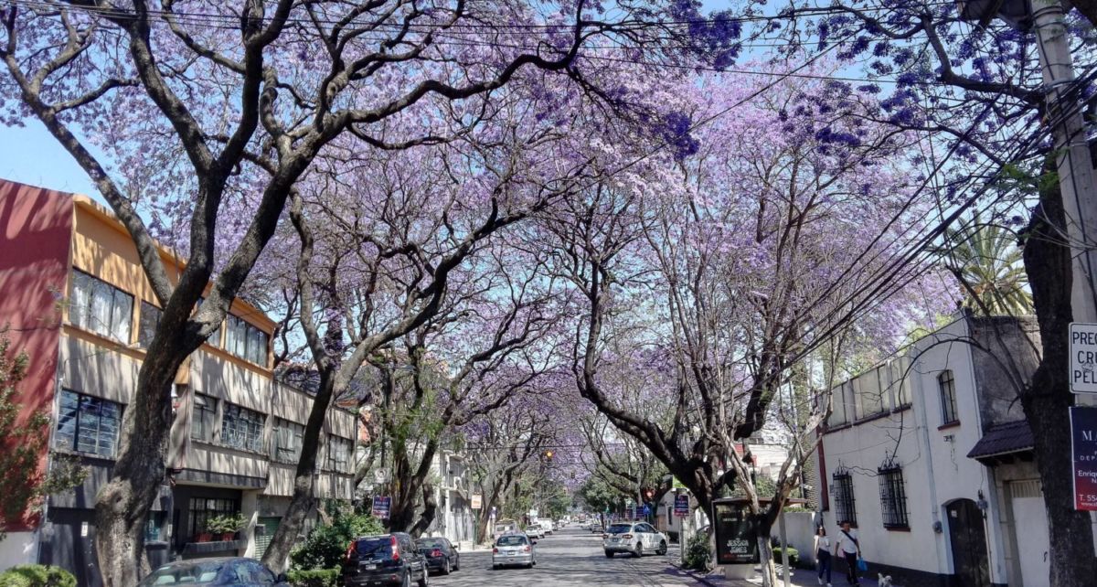 Colonias con rentas más bajas en la CDMX 