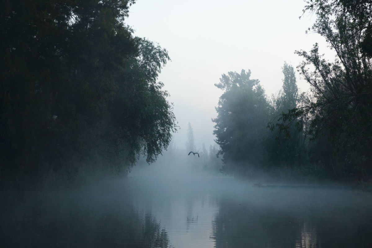Chinampas en cdmx