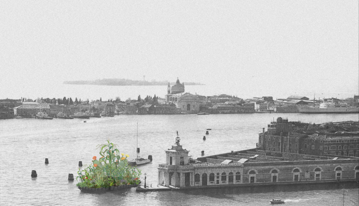 Chinampa veneta en la Exposición Internacional de Arquitectura de la Bienal de Venecia