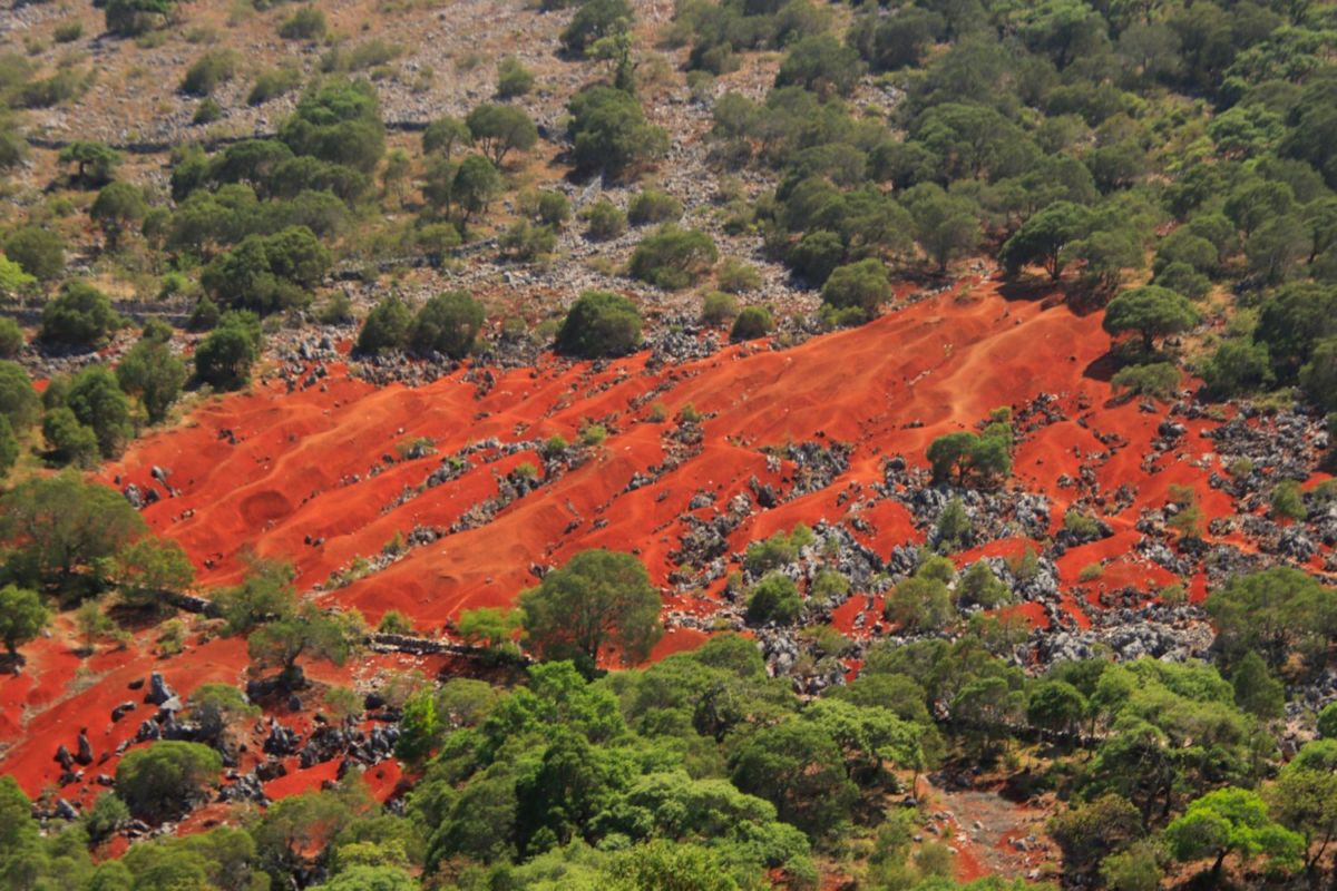 Dunas Rojas en Hidalgo