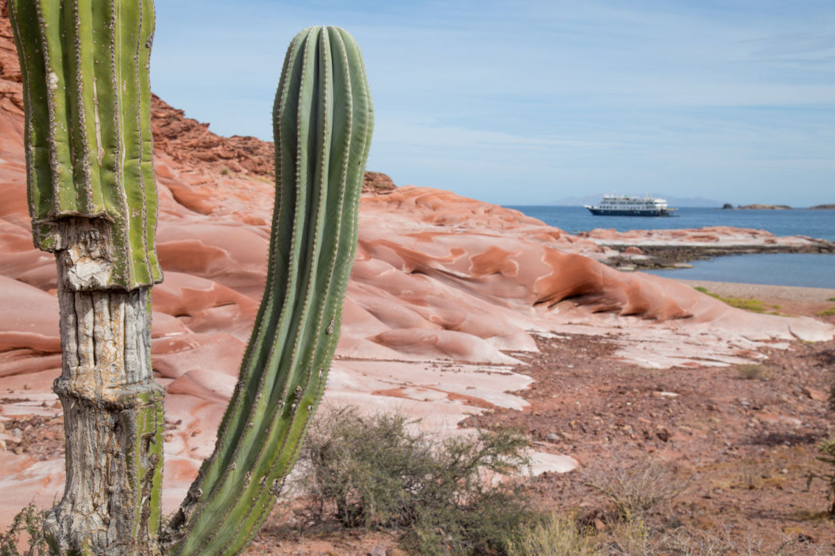 Puerto Los Gatos, Baja California