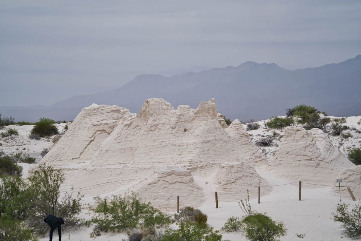 Dunas de Yeso, Cuatro Ciénegas