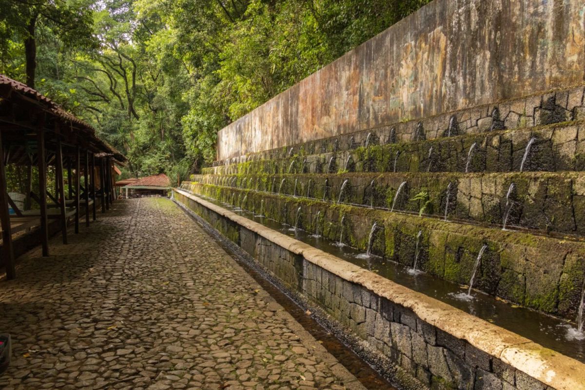parque natural en Michoacán 