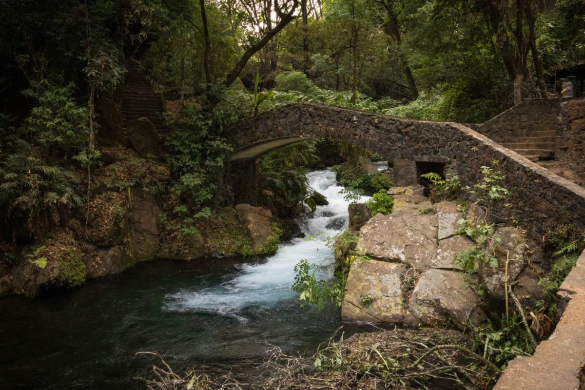 Parque natural en Michoacán 