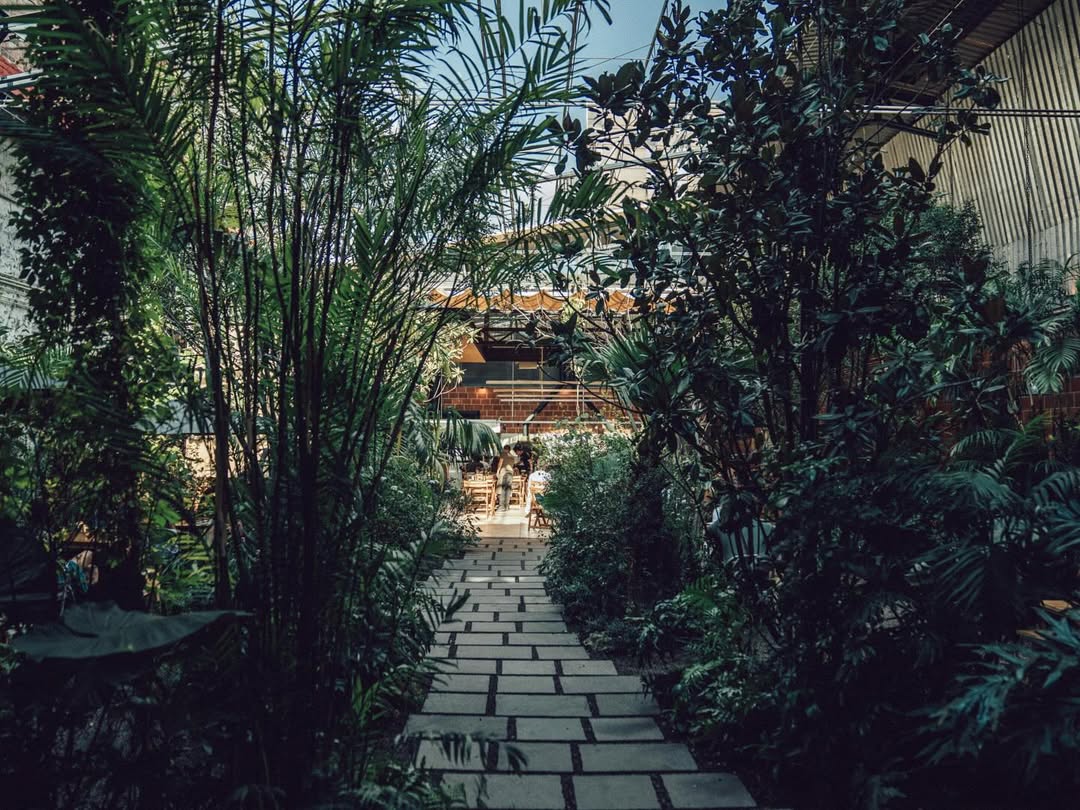 Plaza Río de Janeiro colonia Roma 
