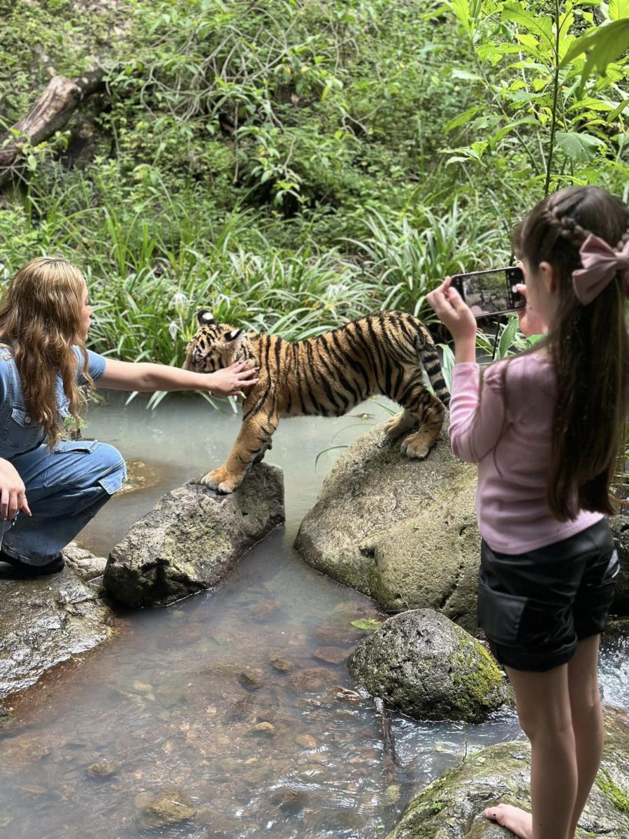 Reserva Camino Real Del Tigre
