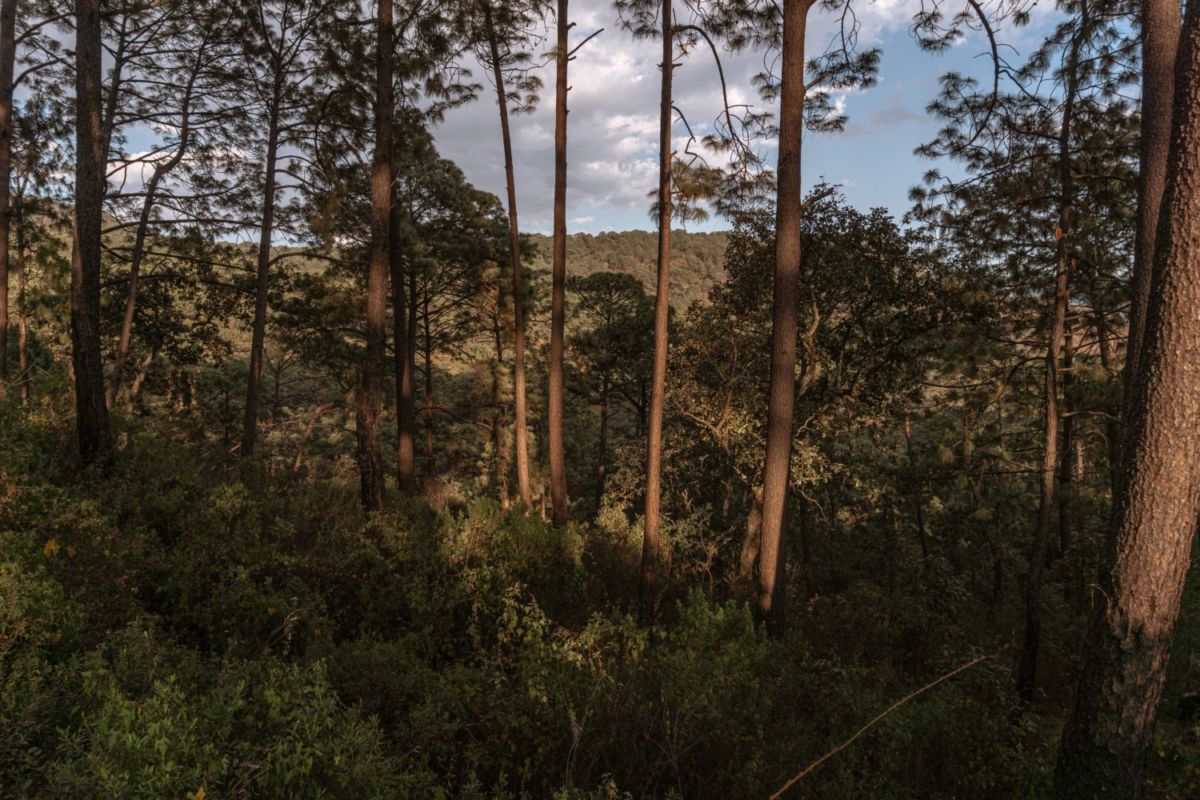 Sierra del Tigre en Mazamitla 