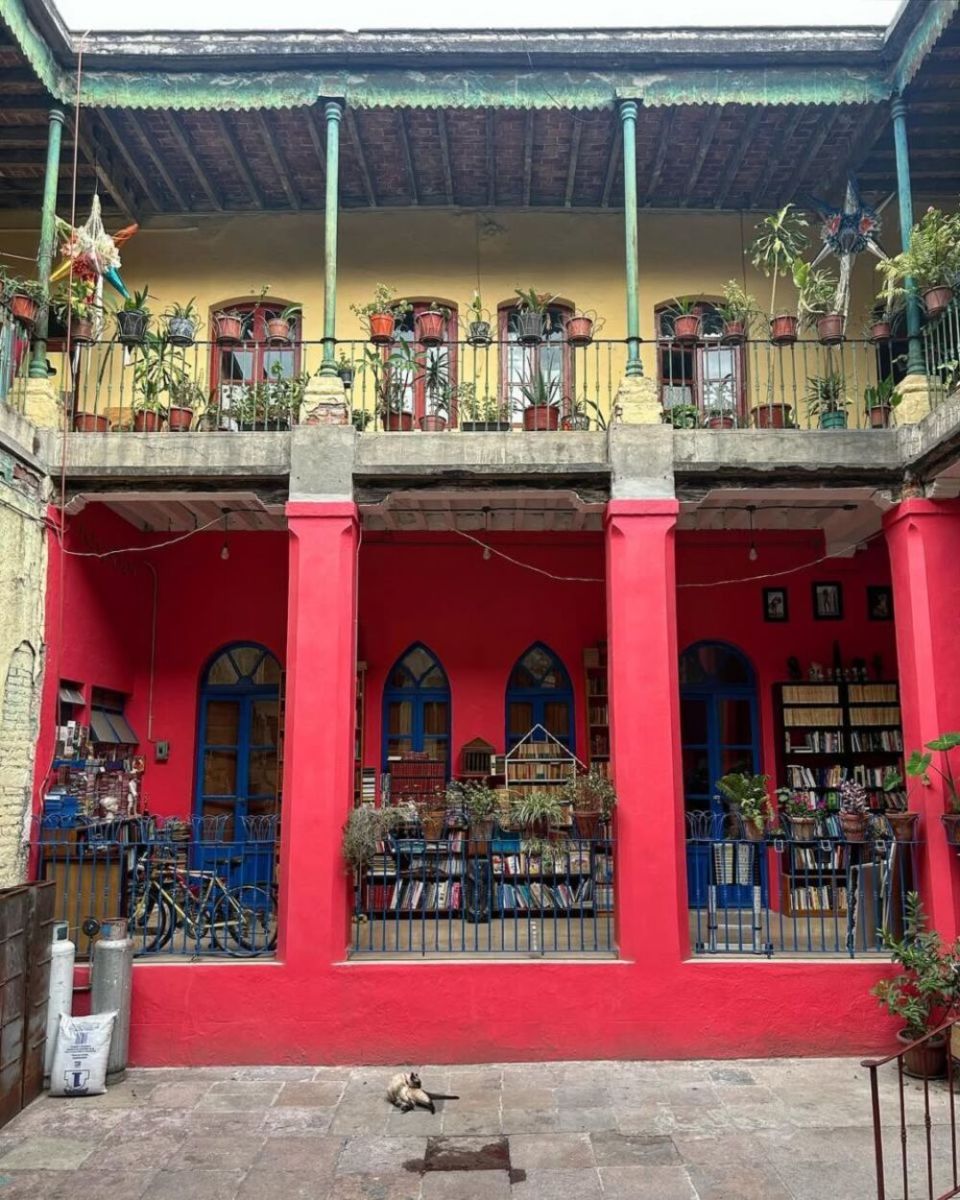 Librería Niña Oscura