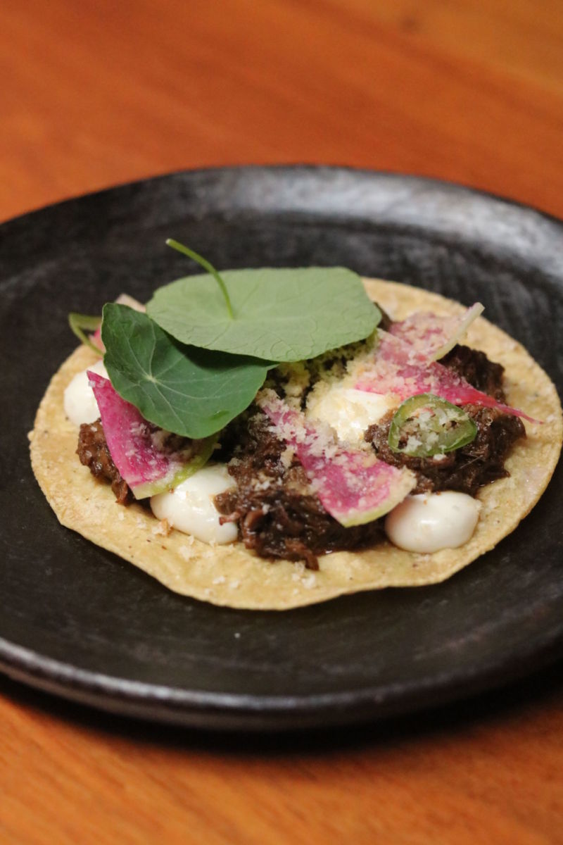 Taco de pato braseado auna