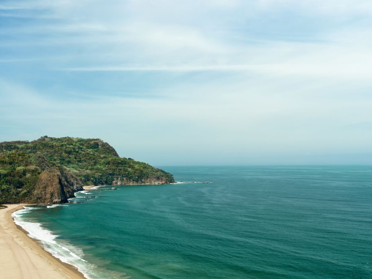 mandarina riviera Nayarit