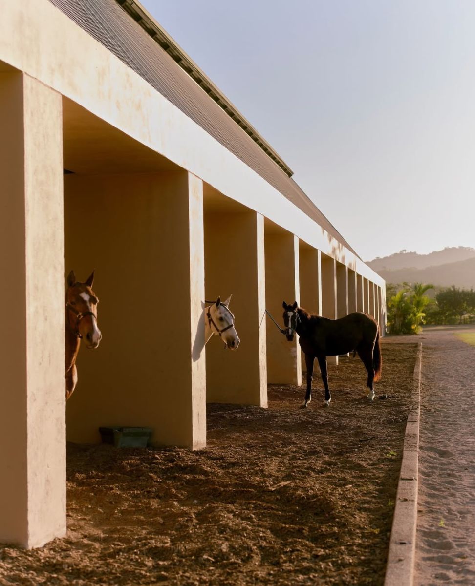 paseos a caballo en Rosewood Mandarina