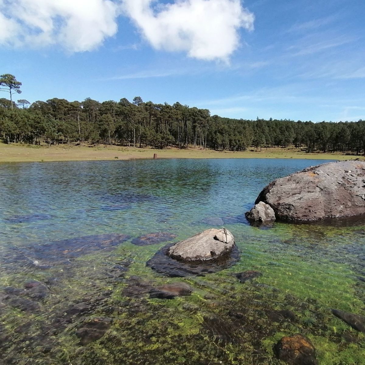Presa de Valle Alegre 