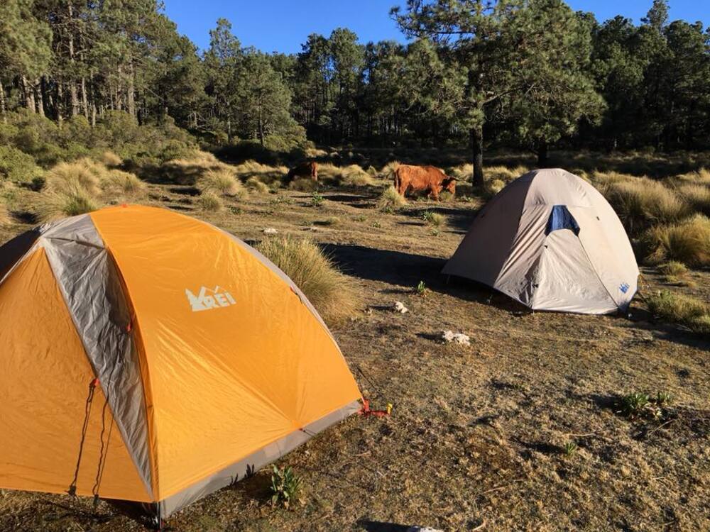 Valle Alegre en Veracruz