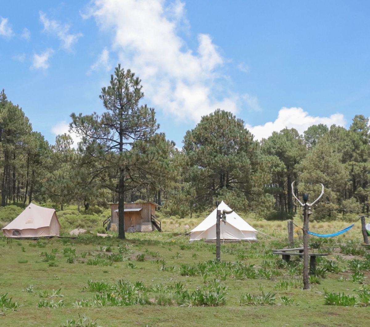 Valle Alegre, Veracruz