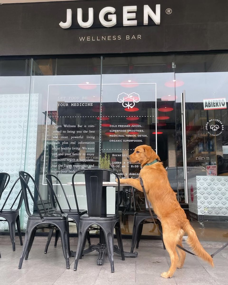 Juge, juicebar en Monterrey, San pedro. 