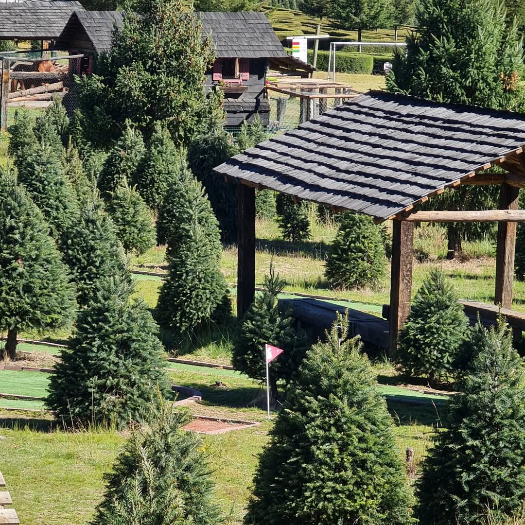 Mini golf en alpinia