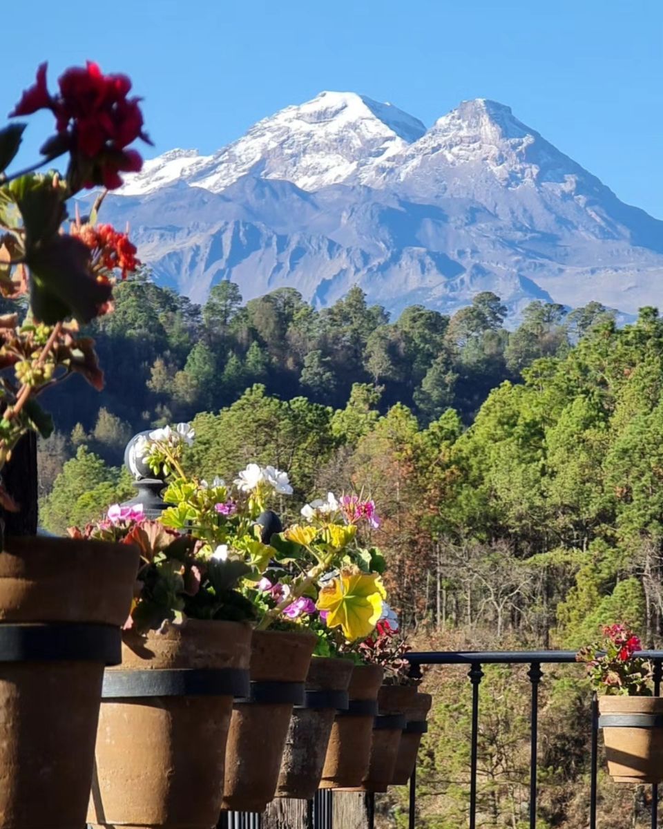 Alpinia se encuentra a medio camino de la carretera México-Puebla.