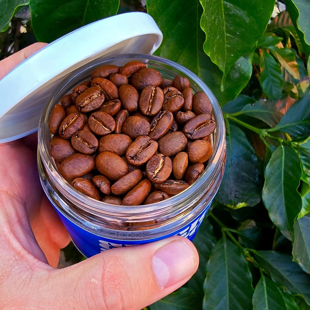 café astuto