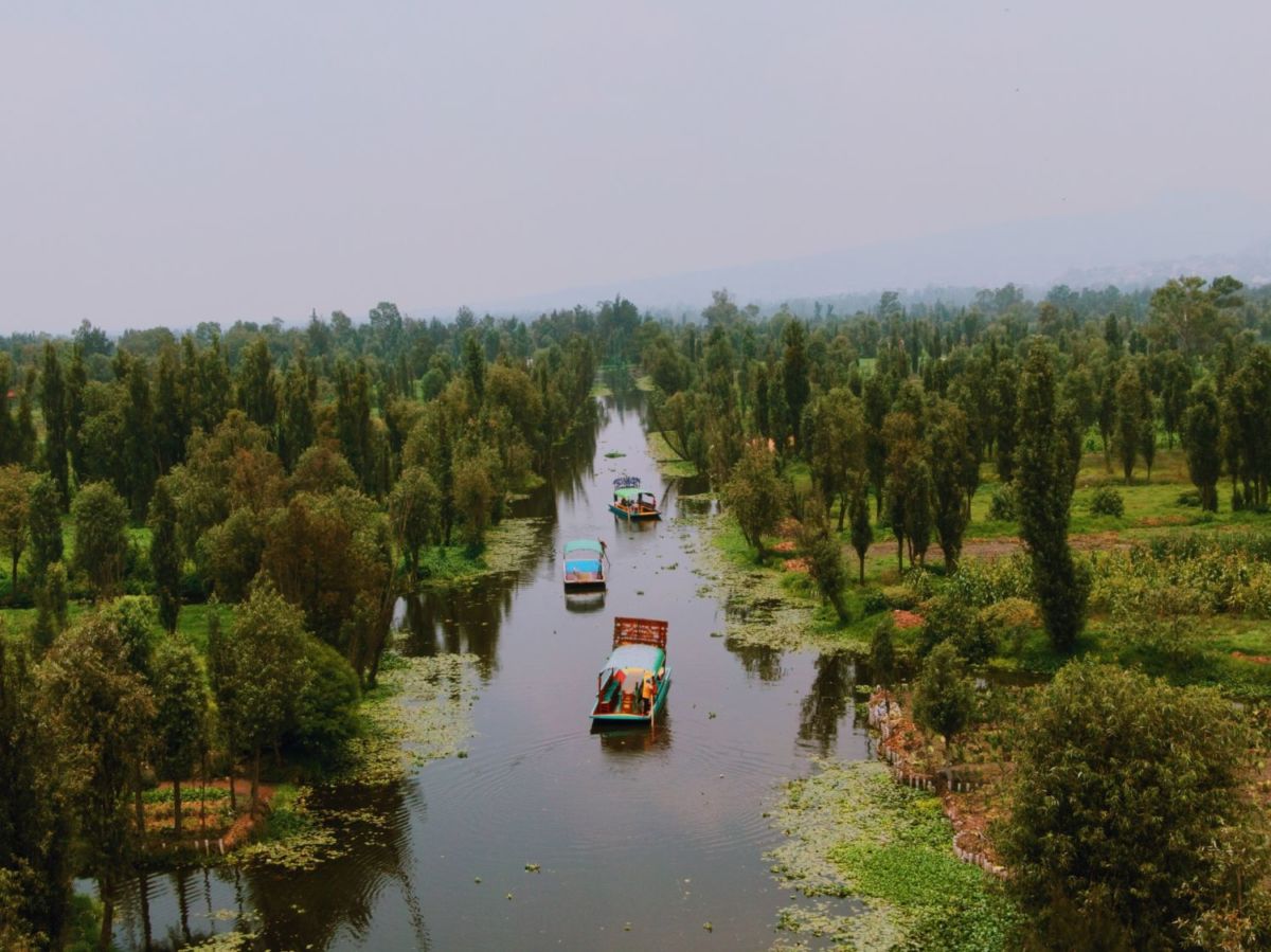 4 experiencias para ver el amanecer desde los canales de Xochimilco