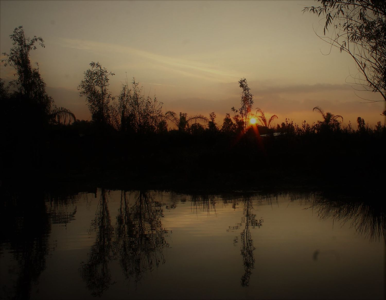 amanecer en los canales de xochimilco
