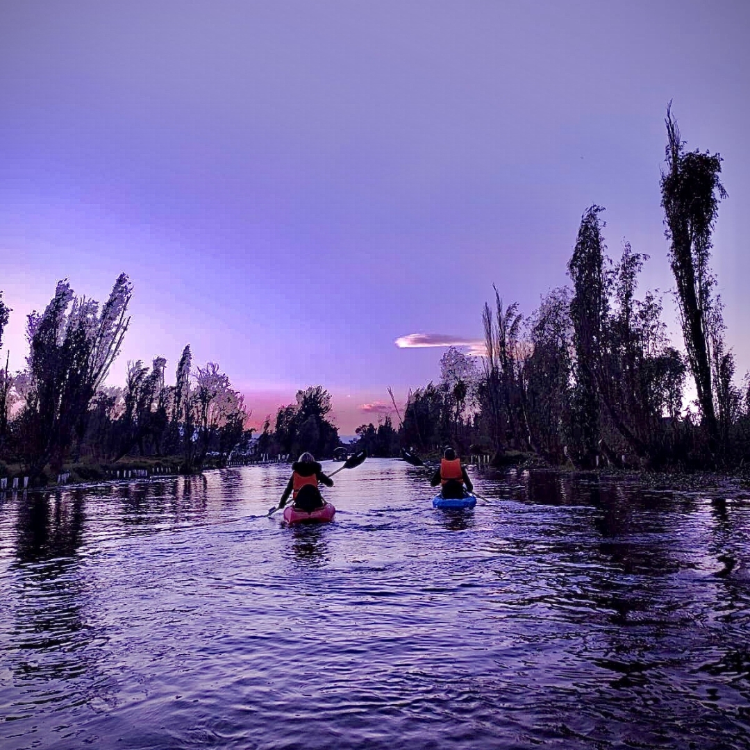 actividades en xochimilco