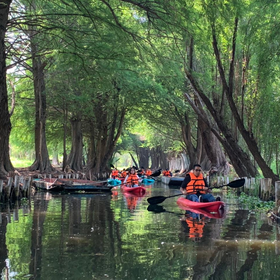 qué hacer en xochimilco