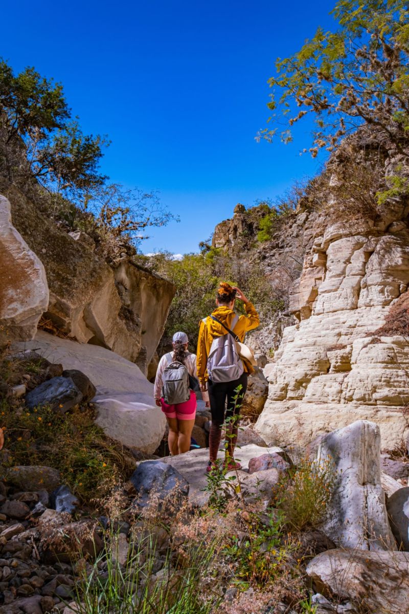 Camino al Arroyo del Cura