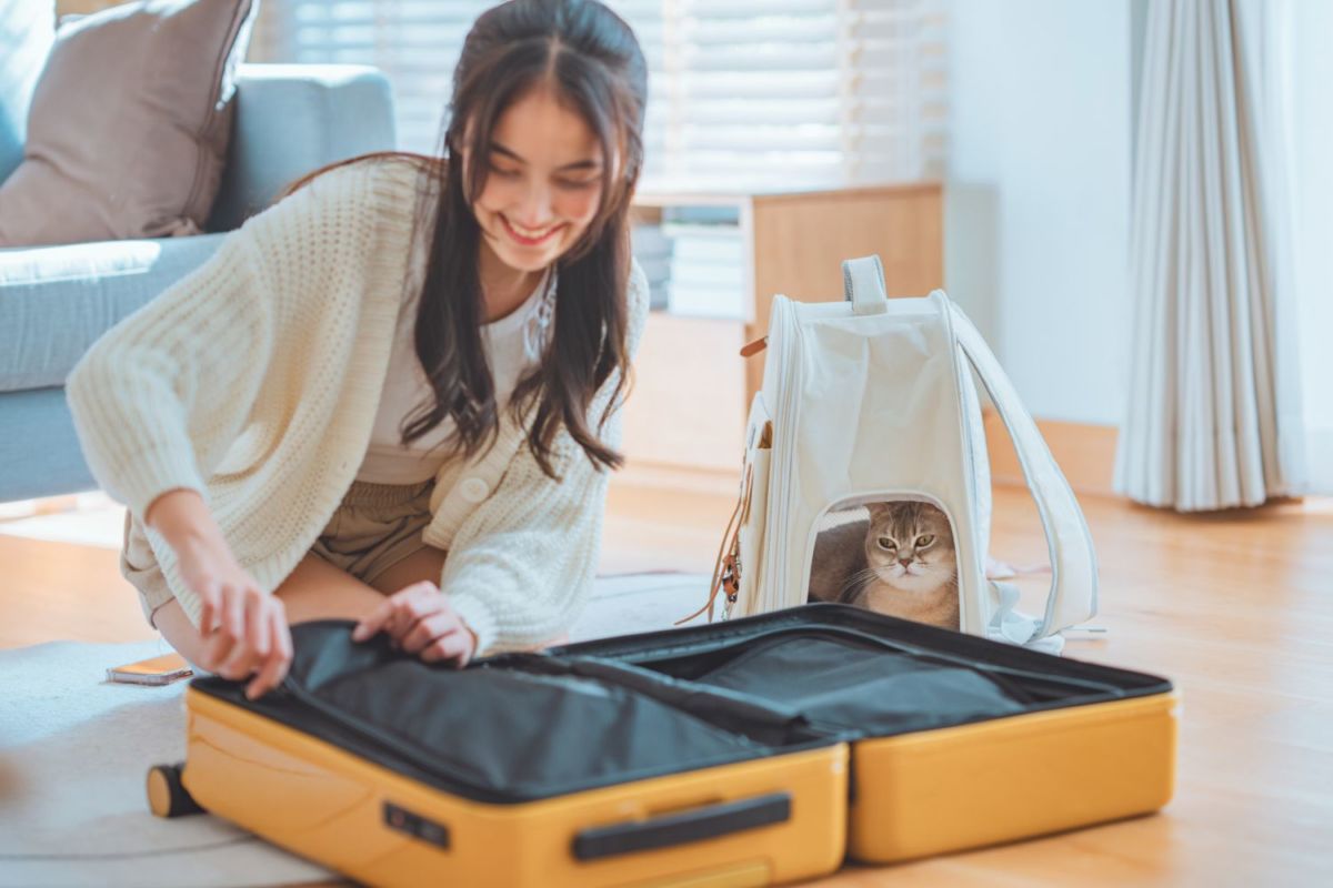 Business Class de Turkish Airlines equipaje