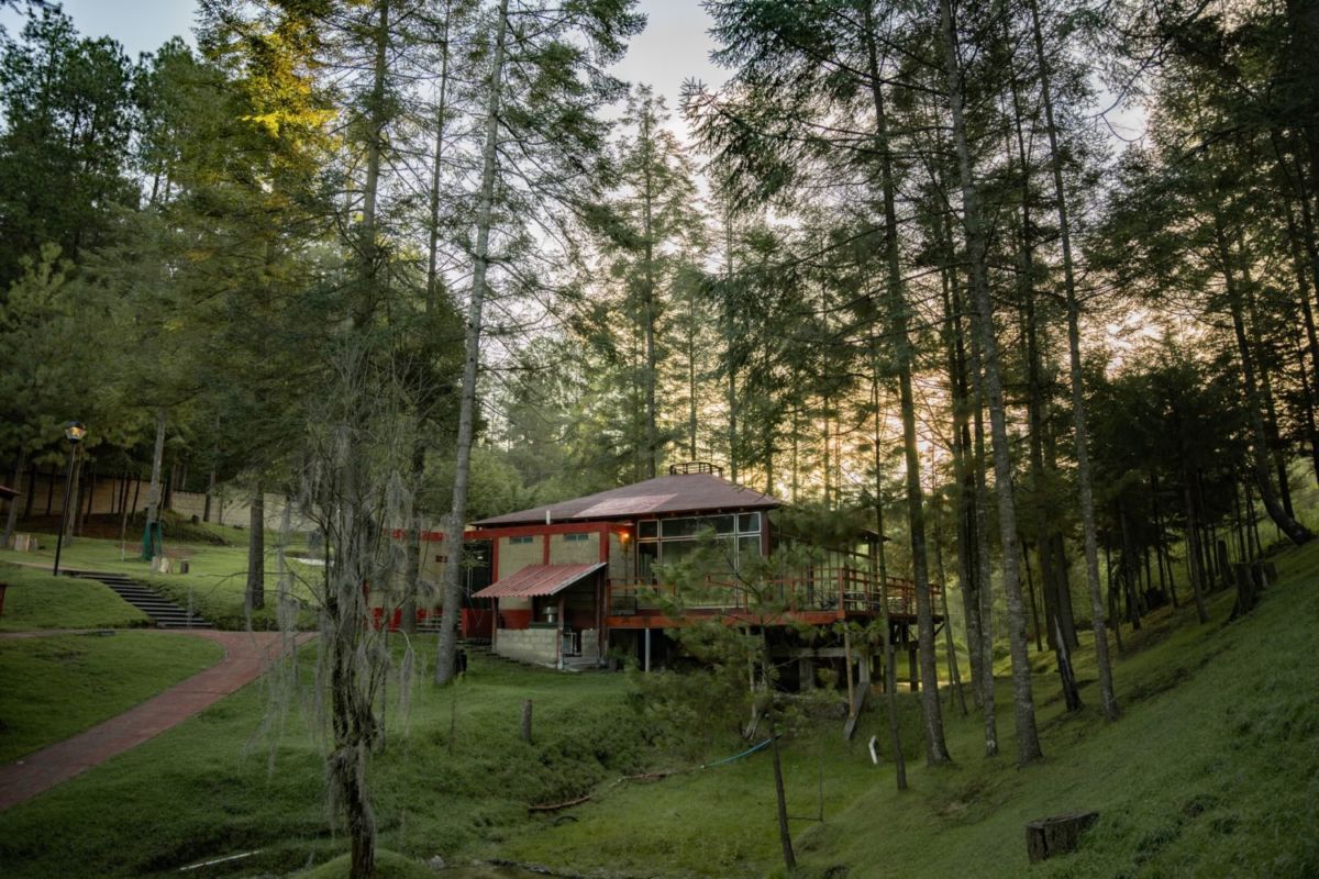 Cabañas en medio de la naturaleza 