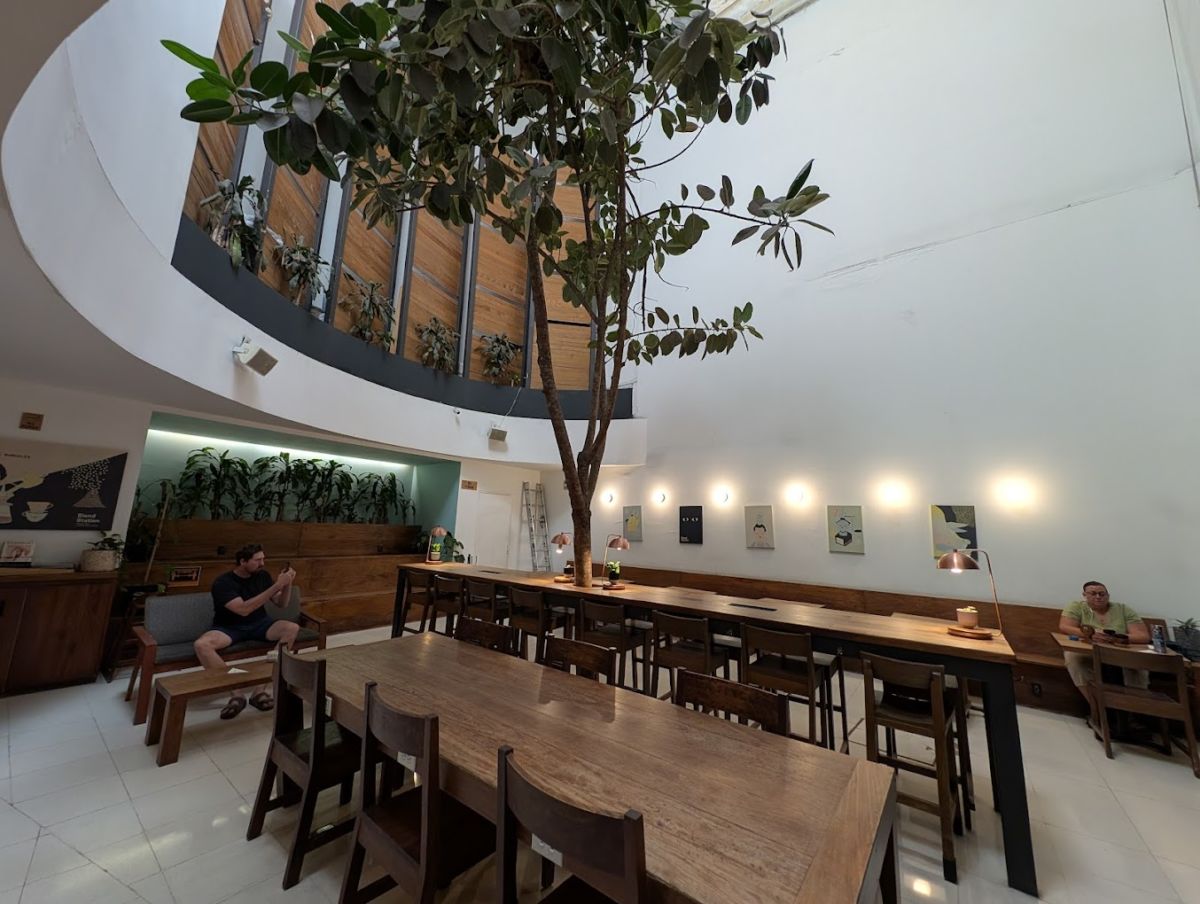 Blend Station Condesa 