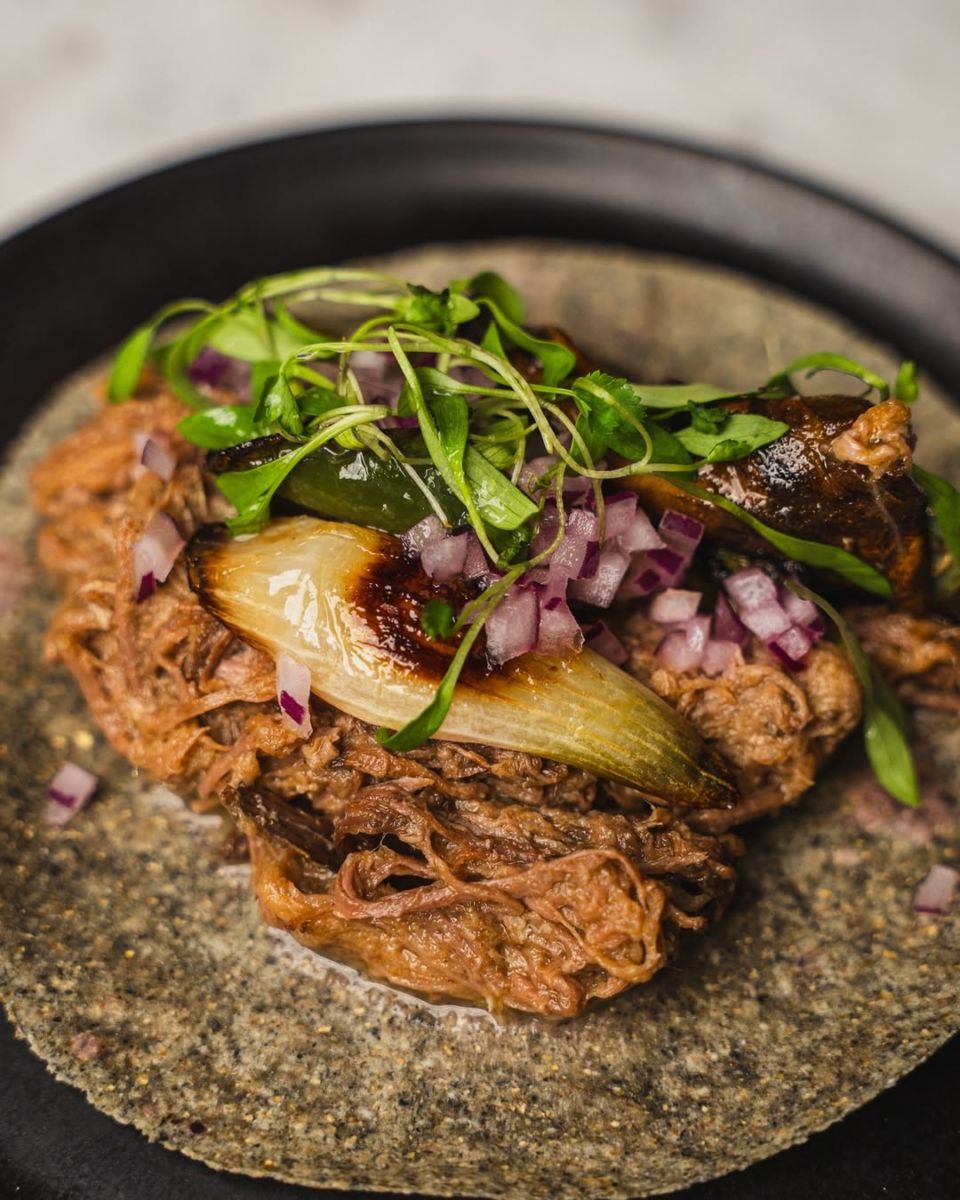 gastronomía mexicana y mediterránea 