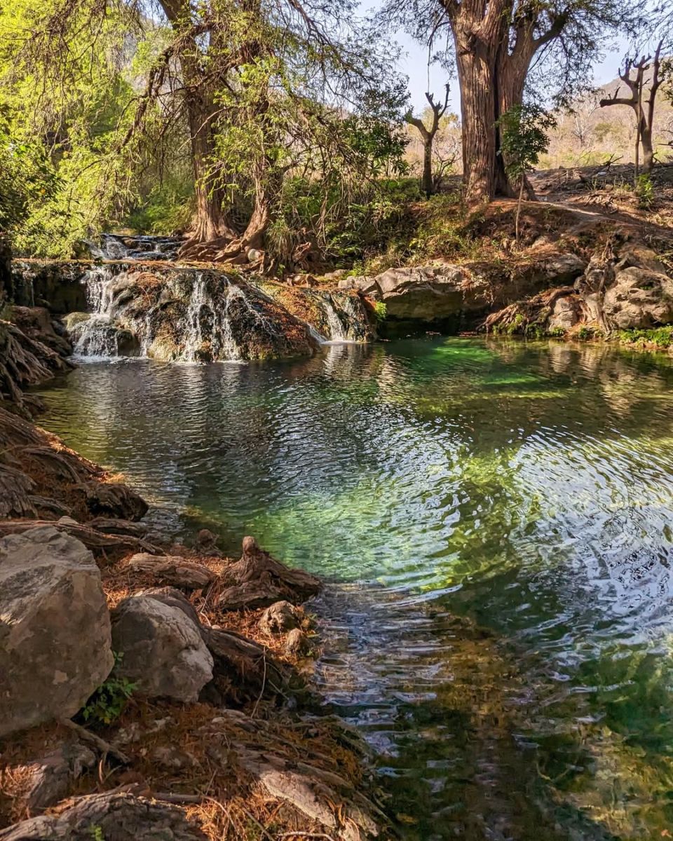 Camino a las Cascadas de San Agustín Ahuehuetla
