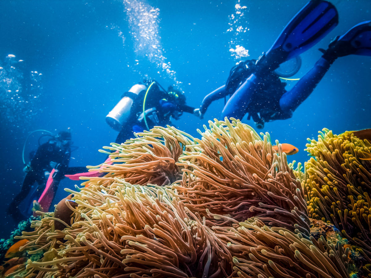 Solo los buces expertos y certificados pueden explorar esta cueva de Belice