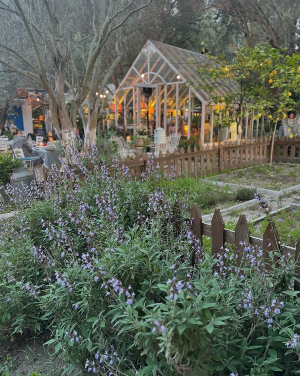 restaurante Asma Ayapragi