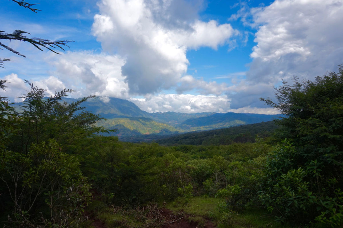 Los estados más cafetaleros de México 