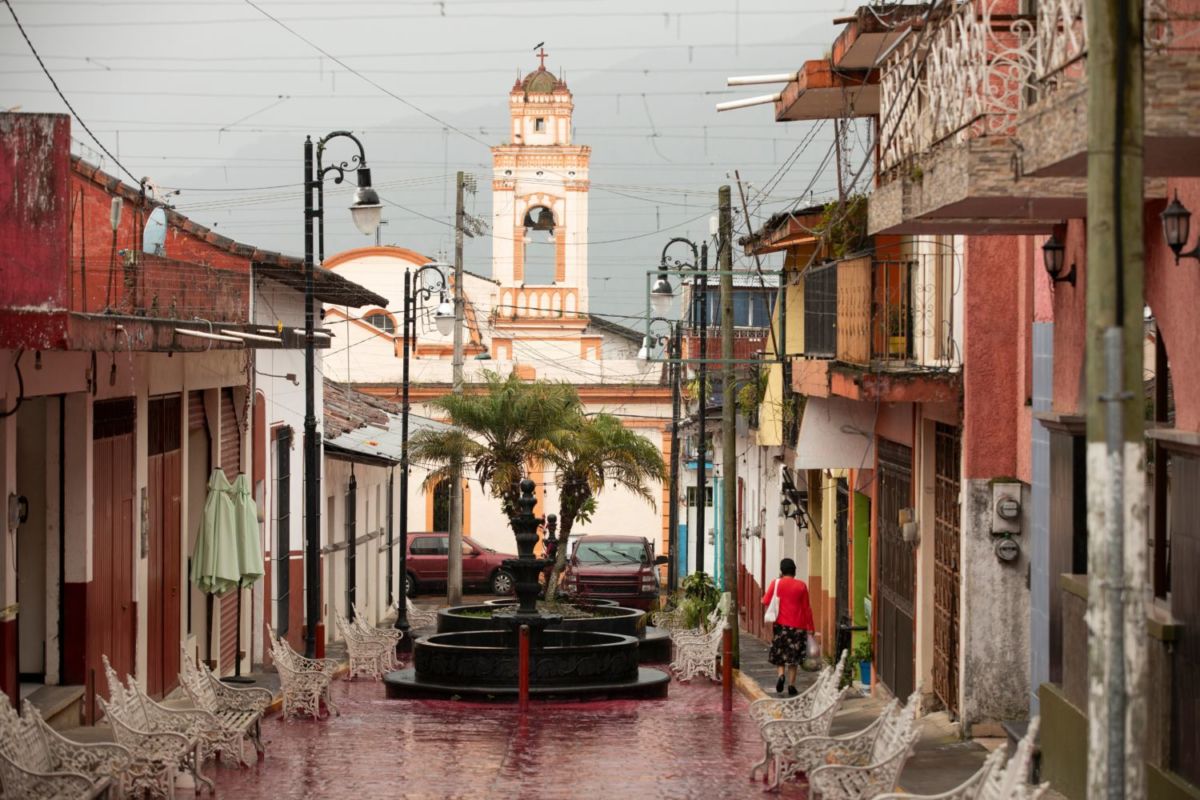 Estados más cafetaleros de México 