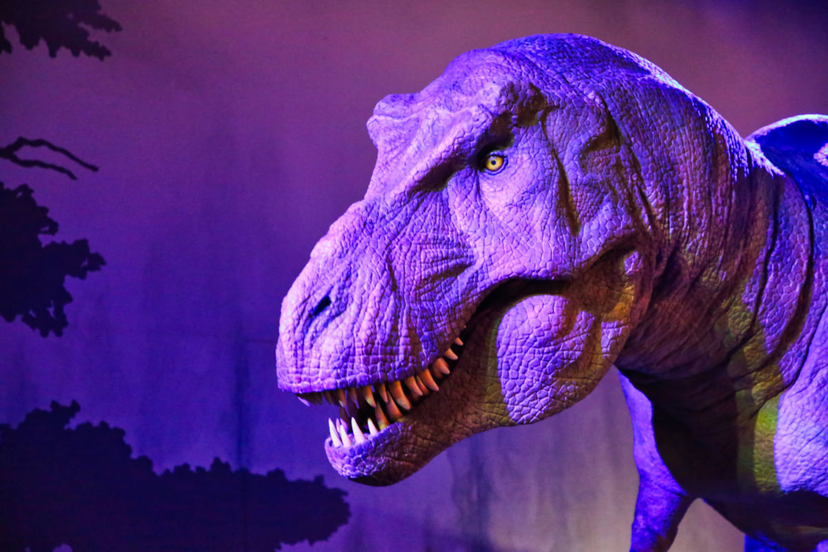 Experiencias con dinosaurios alrededor del mundo 