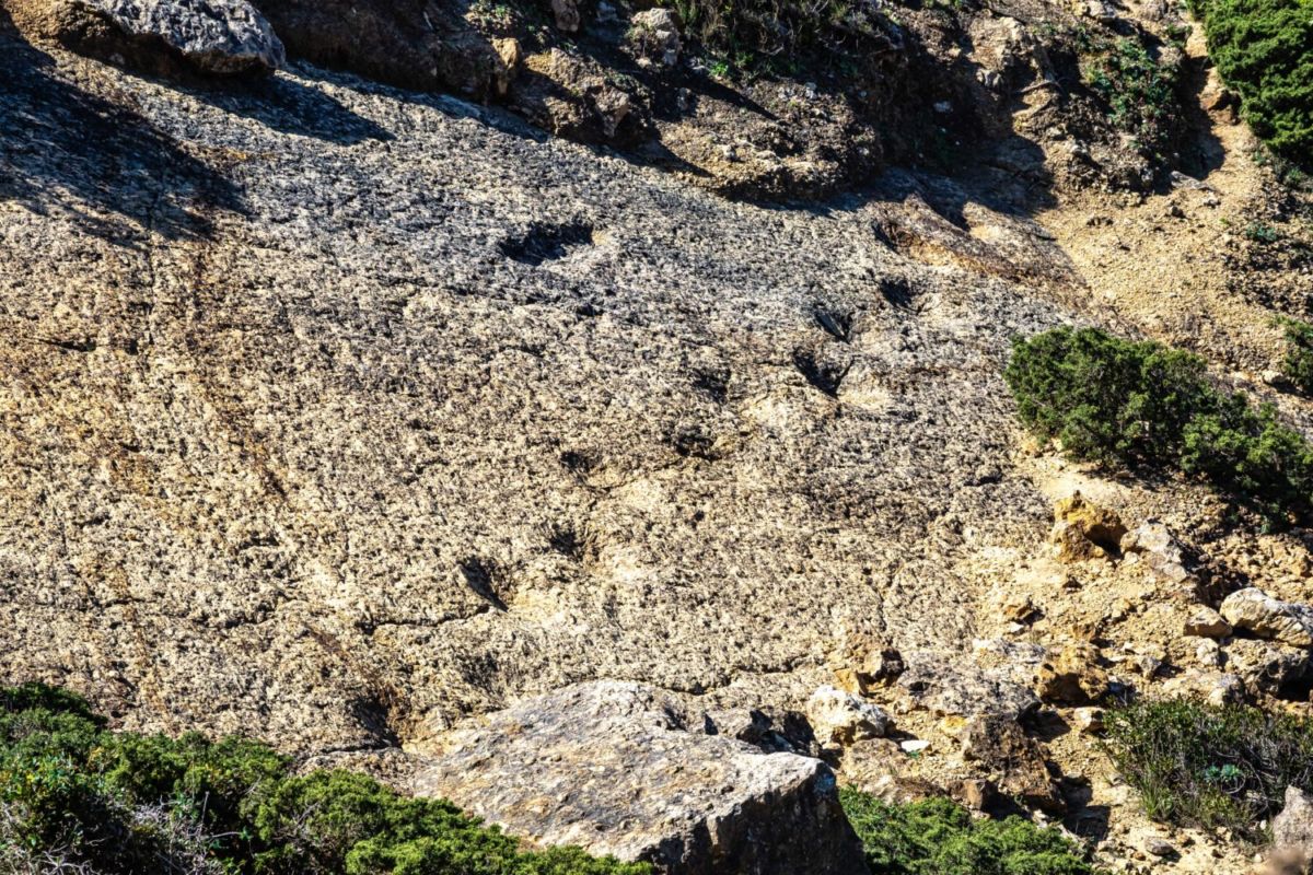 huellas fósiles de dinosaurios en Portugal 