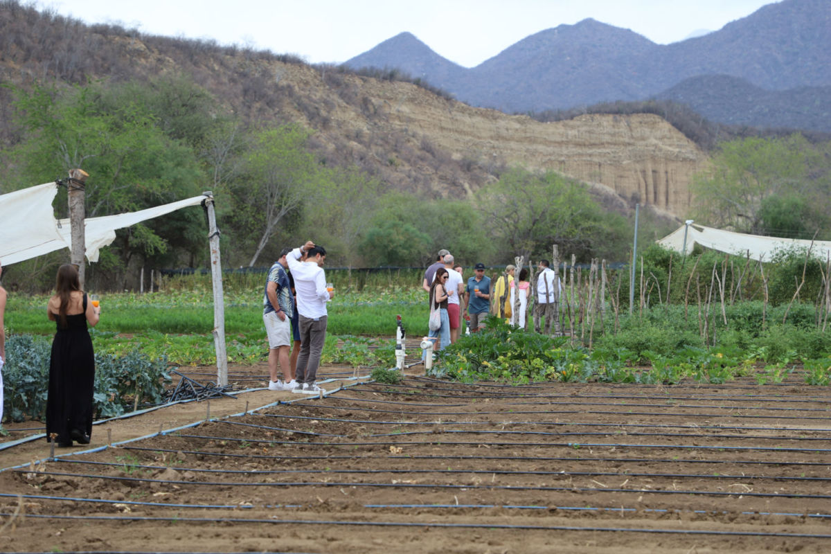 El huerto El Rancho se ubica a dos horas de San José del Cabo 