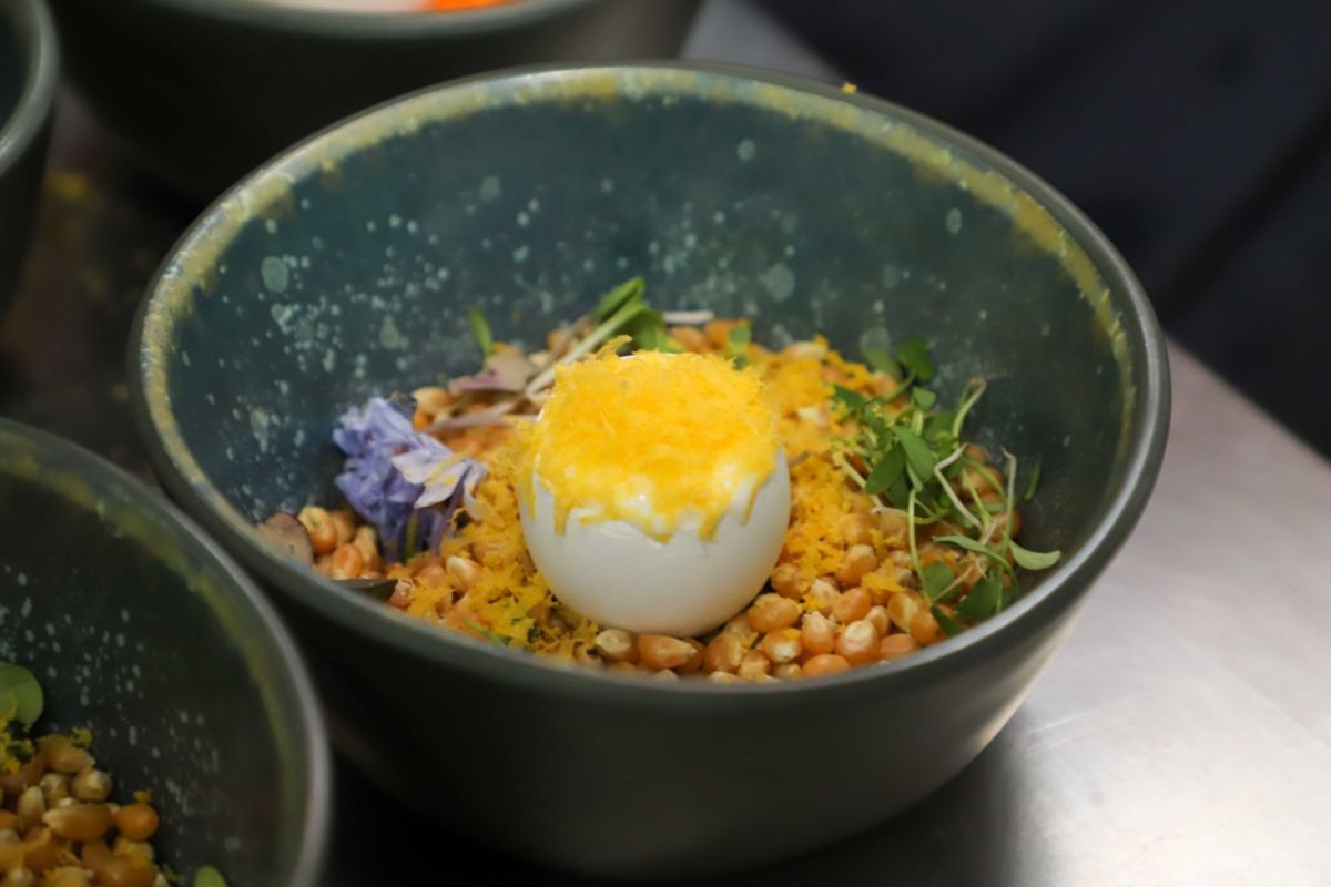 Festival gastronómico en Los Cabos 