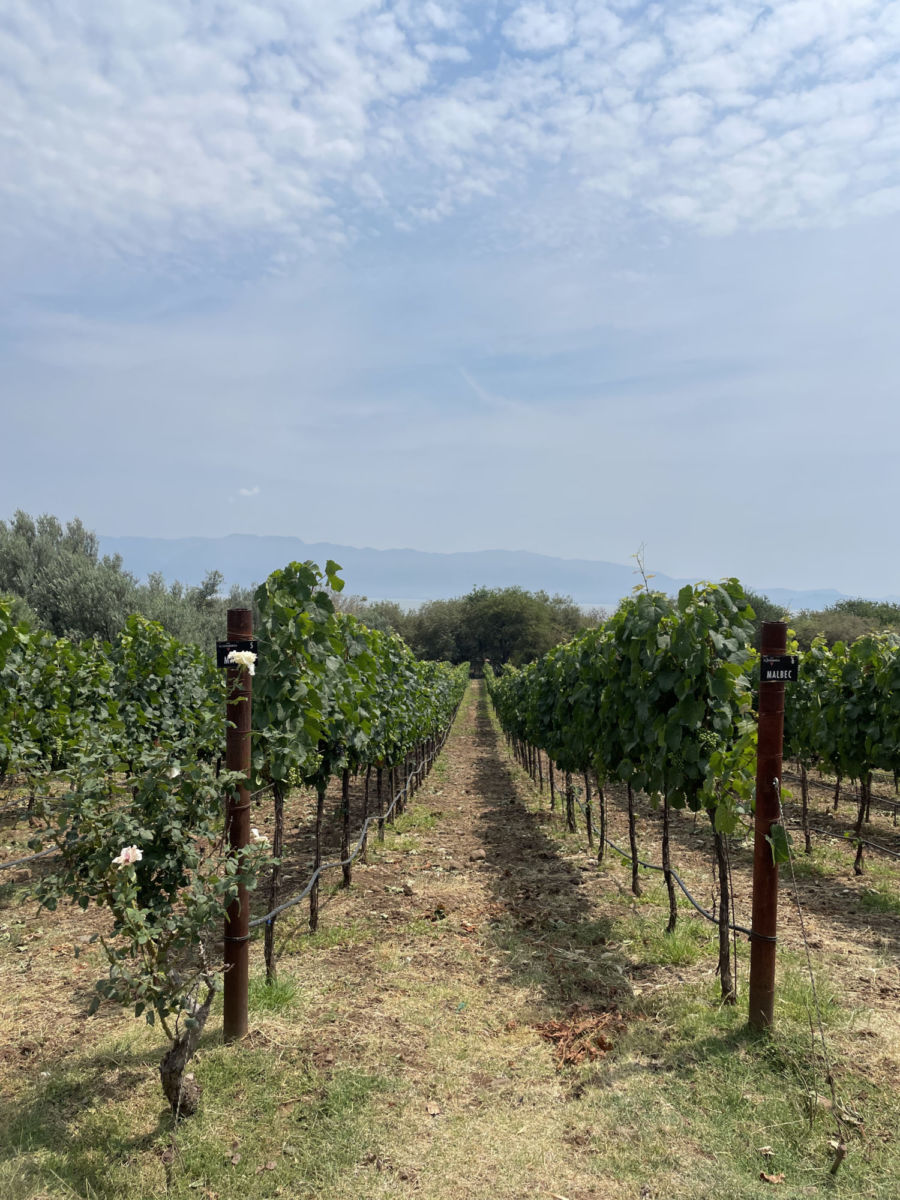 Finca La Estramancia