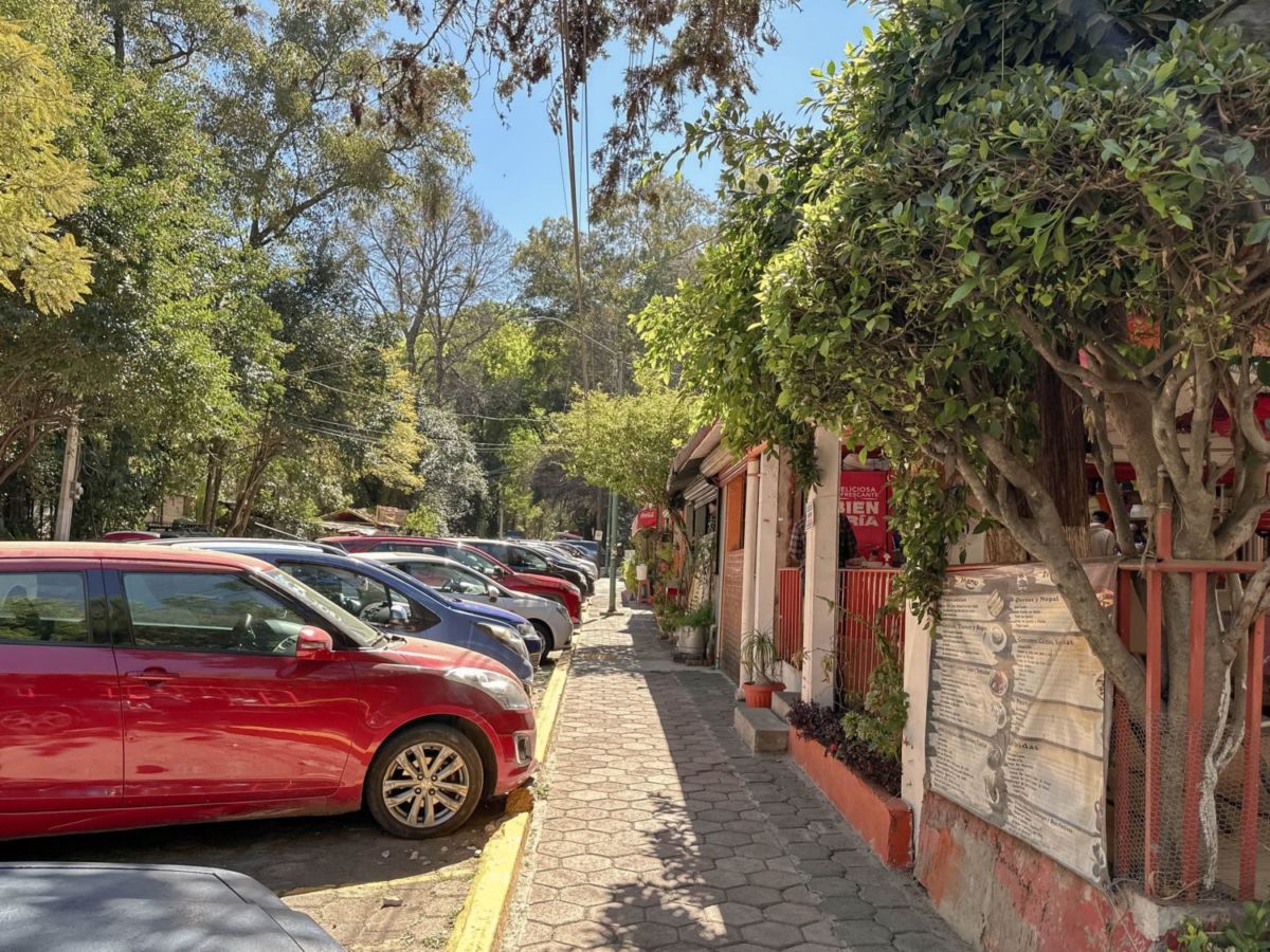 Fuentes Brotantes en Tlalpan