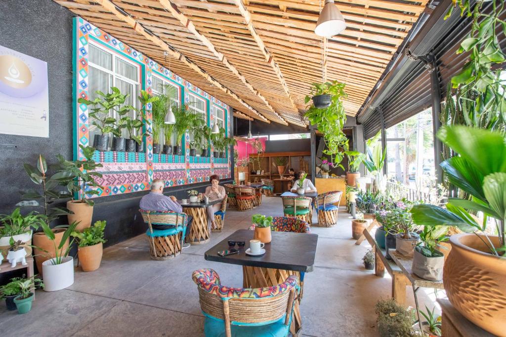 Hostal La Paz & Love en Guadalajara 