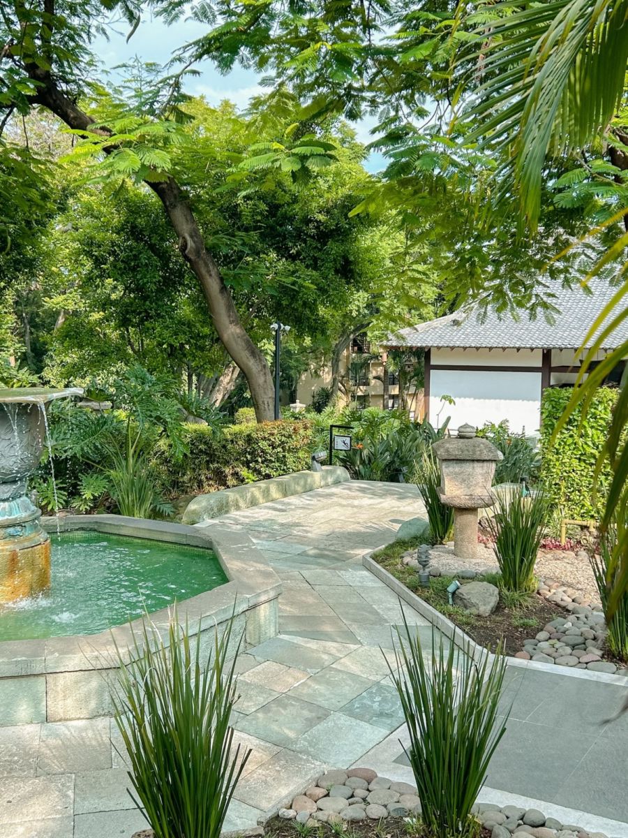 Jardín zen en Morelos 