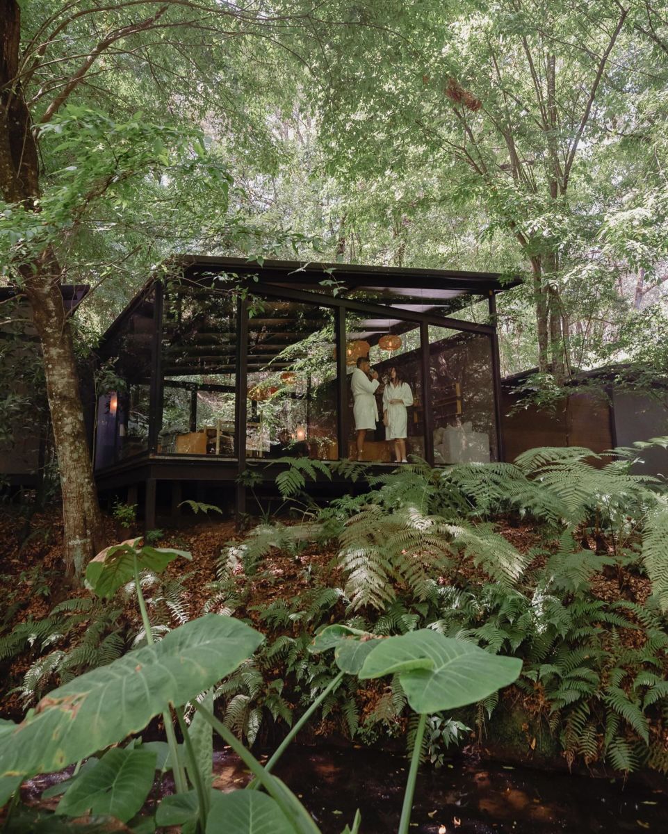 hotel en el bosque en valle de bravo